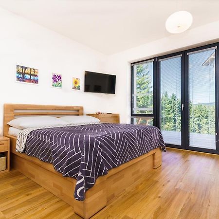 Horsky Apartman Temari 6 Klinovec Loucna pod Klinovcem Ngoại thất bức ảnh