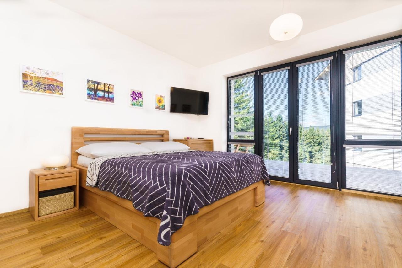 Horsky Apartman Temari 6 Klinovec Loucna pod Klinovcem Ngoại thất bức ảnh